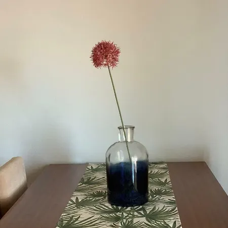 Hey Grandma! 아파트 카발라